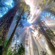 细胞生物学卡包封面