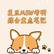 复旦MSW考研综合重点笔记卡包封面