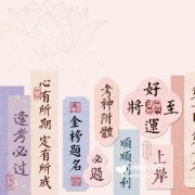 病理-兽医卡包封面