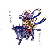 中医基础理论（中医考研）卡包封面