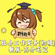 《社会工作实务(初级)》新版-高分笔记卡包封面