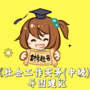 《社会工作实务(中级)》导图速记卡包封面