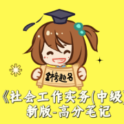 《社会工作实务(中级)》新版-高分笔记卡包封面
