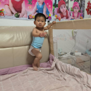 一建法规卡包封面