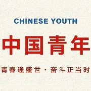 公基常识（更新ing）卡包封面