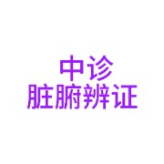中诊脏腑辨证和其他辩证卡包封面