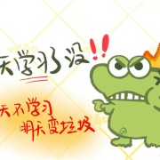 社会工作实务卡包封面