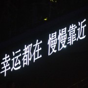 小鹿针灸病各论卡包封面