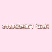 2023年蜜题热词（1-9月）卡包封面