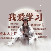 中诊歌诀卡包封面