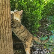 传染病-非选卡包封面