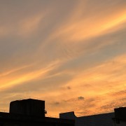 中医内科卡包封面