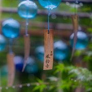 人民网日语词汇互译（东北大学mti高频）卡包封面