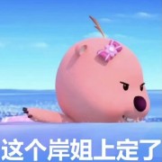 野人学社 世界现代设计史卡包封面