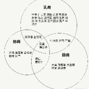 针灸各论卡包封面