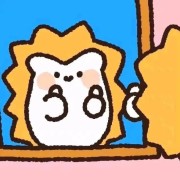 要略（后几章细节版）卡包封面