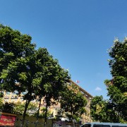 社会心理学卡包封面