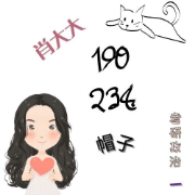 24 肖190+234+帽子题卡包封面