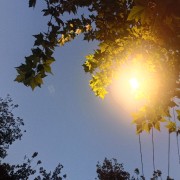 中医内科卡包封面