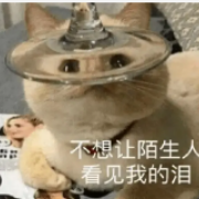 法制史卡包封面