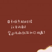 法硕带背卡包封面