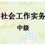 社会工作实务真题（中级）卡包封面
