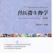 兽医微生物学名词解释卡包封面