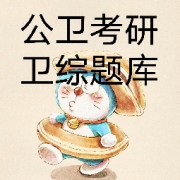 公共卫生考研353卡包封面