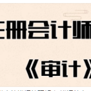注会---审计（真题）卡包封面