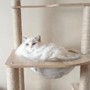 方剂一轮方歌卡包封面