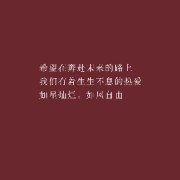 监理案例卡包封面