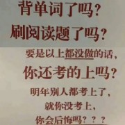 专四/专八高频词组卡包封面
