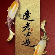 火星市政2024卡包封面