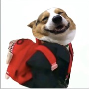 中内歌诀卡包封面