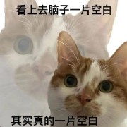 25考研政治挖空-史纲卡包封面