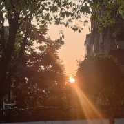 中医内科学卡包封面