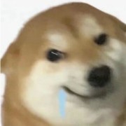 中美史重点卡包封面