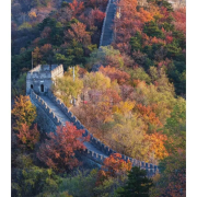 一建建筑实务选择题掌中宝赵爱林卡包封面