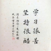 2024一建周超口袋书(按重要程度)卡包封面