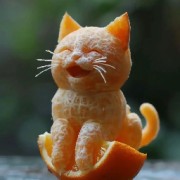 Abby黄老师主题英语课卡包封面