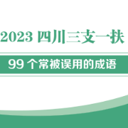 【四川三支一扶】99个常误用的成语卡包封面