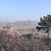 卫生统计学📊卡包封面