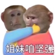 行测（也许还有申论）必背知识点卡包封面