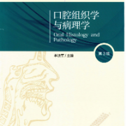 北医口腔考研——口腔组织学和病理学卡包封面