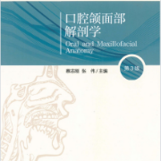北医口腔考研——口腔颌面部解剖学卡包封面