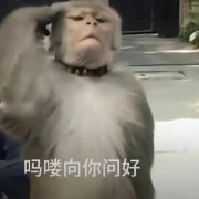 日语catti坐等证书到手卡包封面