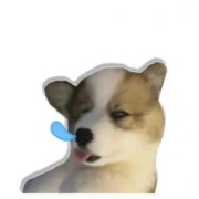 运动训练学卡包封面