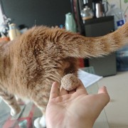 政企考试卡包封面