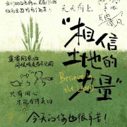 成语常识积累卡包封面