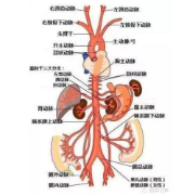 24-25河南对口ViP[考点+记忆技巧+易混点]名简论题库卡包封面
